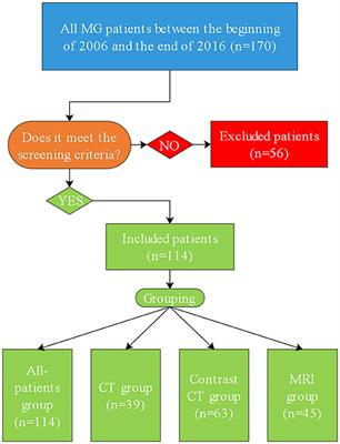 Correlation Between Thymus Radiology and Myasthenia Gravis in Clinical Practice